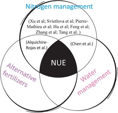 Editorial: Nitrogen metabolism in crops and model plant species